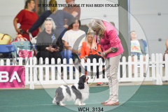 1_WCH_3134-copy