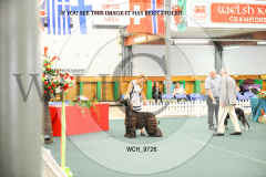 1_WCH_9726-copy