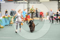1_WCH_9732-copy