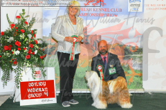 2_WKC_AUGUST_-2022_WCH_9629.JPG-scaled
