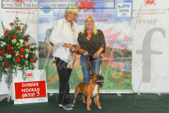 2_WKC_AUGUST_-2022_WCH_9803.JPG-scaled