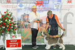 2_WKC_AUGUST_-2022_WCH_9896.JPG-scaled