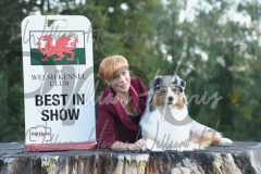 THE WELSH KENNEL CLUB 2023