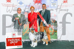 2_THE-WELSH-KENNEL-CLUB-2023-WCH_0298.JPG