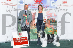 2_THE-WELSH-KENNEL-CLUB-2023-WCH_0323.JPG