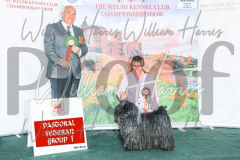 2_THE-WELSH-KENNEL-CLUB-2023-WCH_0343.JPG