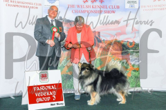 2_THE-WELSH-KENNEL-CLUB-2023-WCH_0351.JPG