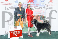 2_THE-WELSH-KENNEL-CLUB-2023-WCH_0413.JPG