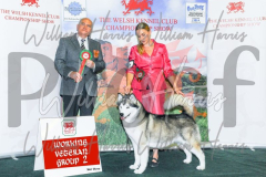 2_THE-WELSH-KENNEL-CLUB-2023-WCH_0427.JPG