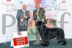 2_THE-WELSH-KENNEL-CLUB-2023-WCH_0437.JPG