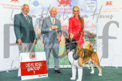 2_THE-WELSH-KENNEL-CLUB-2023-WCH_0453.JPG