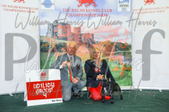 2_THE-WELSH-KENNEL-CLUB-2023-WCH_0465.JPG