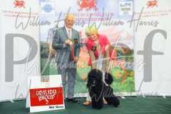 2_THE-WELSH-KENNEL-CLUB-2023-WCH_0470.JPG