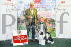2_THE-WELSH-KENNEL-CLUB-2023-WCH_0473.JPG