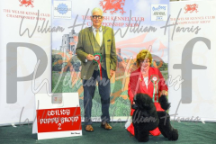 2_THE-WELSH-KENNEL-CLUB-2023-WCH_0481.JPG