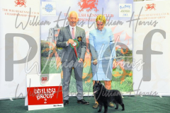 2_THE-WELSH-KENNEL-CLUB-2023-WCH_0503.JPG