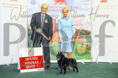 2_THE-WELSH-KENNEL-CLUB-2023-WCH_0507.JPG
