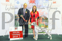 2_THE-WELSH-KENNEL-CLUB-2023-WCH_0520.JPG