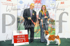 2_THE-WELSH-KENNEL-CLUB-2023-WCH_0525.JPG