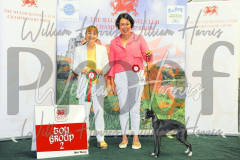 2_THE-WELSH-KENNEL-CLUB-2023-WCH_0547.JPG