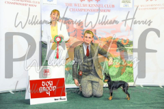 2_THE-WELSH-KENNEL-CLUB-2023-WCH_0565.JPG