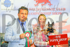 2_THE-WELSH-KENNEL-CLUB-2023-WCH_0576.JPG