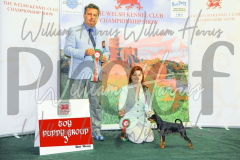 2_THE-WELSH-KENNEL-CLUB-2023-WCH_0579.JPG
