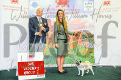 2_THE-WELSH-KENNEL-CLUB-2023-WCH_0605.JPG