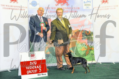 2_THE-WELSH-KENNEL-CLUB-2023-WCH_0611.JPG