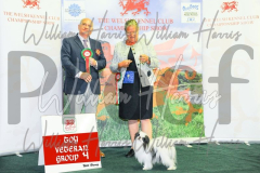 2_THE-WELSH-KENNEL-CLUB-2023-WCH_0615.JPG