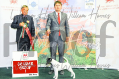 2_THE-WELSH-KENNEL-CLUB-2023-WCH_0628.JPG