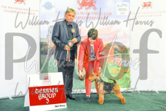 2_THE-WELSH-KENNEL-CLUB-2023-WCH_0634.JPG