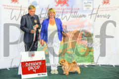 2_THE-WELSH-KENNEL-CLUB-2023-WCH_0665.JPG