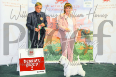2_THE-WELSH-KENNEL-CLUB-2023-WCH_0672.JPG