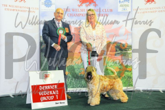 2_THE-WELSH-KENNEL-CLUB-2023-WCH_0680.JPG
