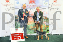 2_THE-WELSH-KENNEL-CLUB-2023-WCH_0699.JPG