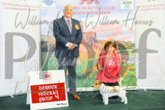 2_THE-WELSH-KENNEL-CLUB-2023-WCH_0701.JPG