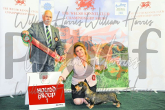 2_THE-WELSH-KENNEL-CLUB-2023-WCH_0704.JPG