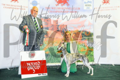 2_THE-WELSH-KENNEL-CLUB-2023-WCH_0720.JPG