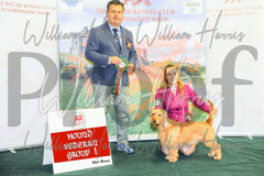 2_THE-WELSH-KENNEL-CLUB-2023-WCH_0761.JPG