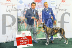 2_THE-WELSH-KENNEL-CLUB-2023-WCH_0766.JPG