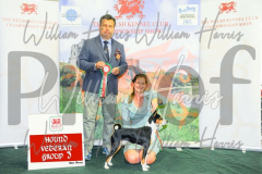 2_THE-WELSH-KENNEL-CLUB-2023-WCH_0772.JPG