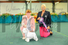 2_THE-WELSH-KENNEL-CLUB-2023-WCH_0791.JPG