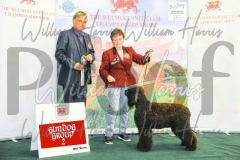 2_THE-WELSH-KENNEL-CLUB-2023-WCH_0815.JPG