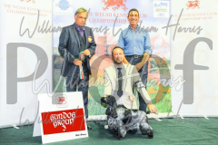 2_THE-WELSH-KENNEL-CLUB-2023-WCH_0821.JPG