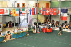 2_THE-WELSH-KENNEL-CLUB-2023-WCH_0903.JPG