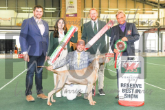 2_THE-WELSH-KENNEL-CLUB-2023-WCH_0922.JPG