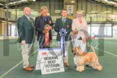 2_THE-WELSH-KENNEL-CLUB-2023-WCH_0961.JPG