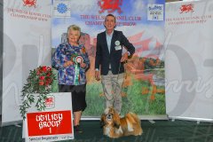 WCH_0262A_WELSH-KENNEL-CLUB-2024-