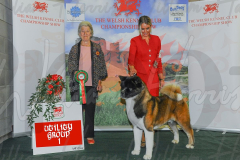 WCH_0291A_WELSH-KENNEL-CLUB-2024-1-1